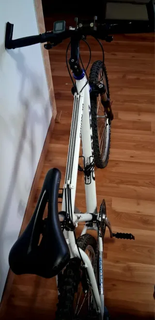 Bicicleta Grisley Orion 10