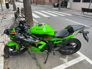 Kawasaki Ninja 125 Verde
