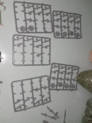 Warhammer Guerreros de Clan