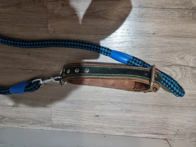 Collar y Correa de Cuero para Perro Grande