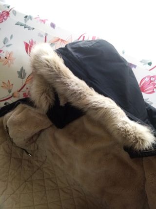 Chaqueta de invierno con capucha