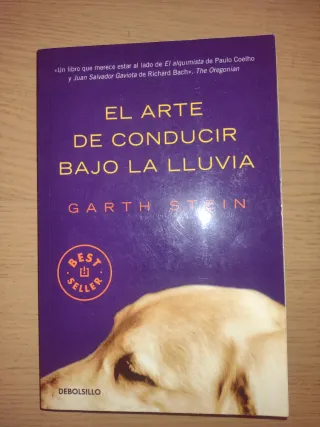 El arte de conducir bajo la lluvia