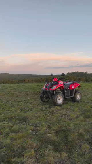 Quad Kymco MXU 250