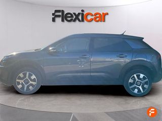 Citroën C4 Cactus PureTech 81KW (110CV) S&S EAT6 Shine