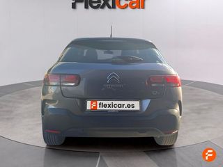 Citroën C4 Cactus PureTech 81KW (110CV) S&S EAT6 Shine