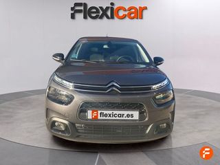 Citroën C4 Cactus PureTech 81KW (110CV) S&S EAT6 Shine