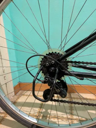 Bicicleta Todocamino Riverside 100