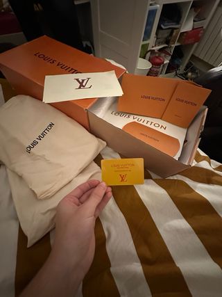 Louis Vuitton LV Skate Beige/Gris