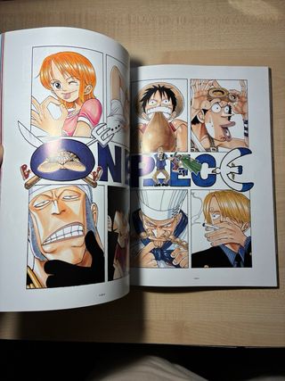 One piece color walk 1