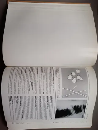 Enciclopedia De Medicina Y Enfermería Mosby: A-...