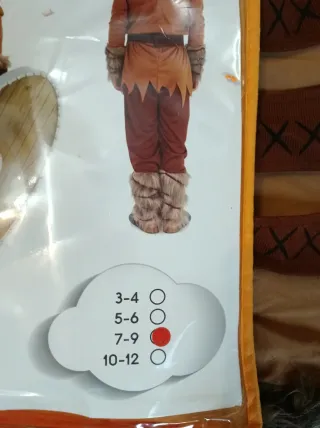 Disfraz Vikingo Completo con Accesorios