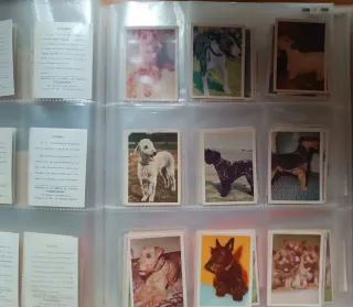 Colección completa  80 cromos 1965