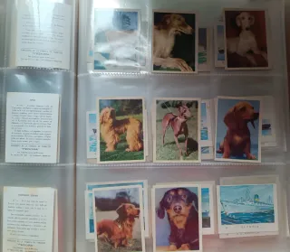 Colección completa  80 cromos 1965