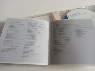 CD Van Morrison What's Wrong With This Picture?