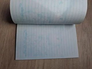 Lote 3 libretas hojitas de cambiar