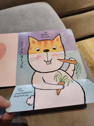 Libro infantil