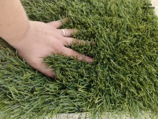 Césped artificial reciclado