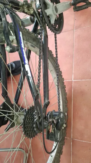 Bicicleta Montaña Aluminio Cups 261