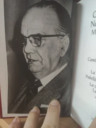 La colmena-Pabellón de reposo-La cucaña/La rosa