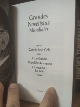 La colmena-Pabellón de reposo-La cucaña/La rosa