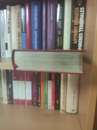 La colmena-Pabellón de reposo-La cucaña/La rosa