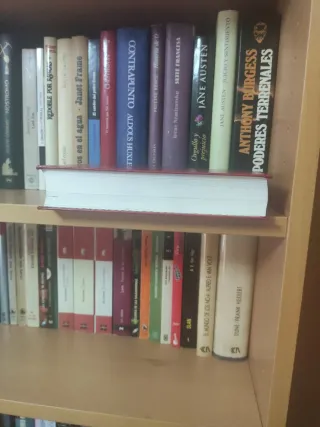 La colmena-Pabellón de reposo-La cucaña/La rosa