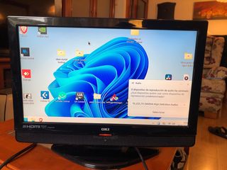 Televisor OKI 46cm x 31cm