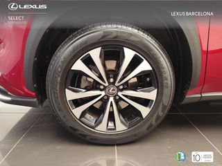 Lexus NX300h PREMIUM 2021 REF 7345