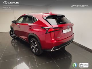 Lexus NX300h PREMIUM 2021 REF 7345