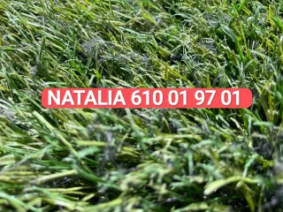 Venta césped artificial