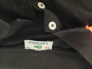 Conjunto Lacoste Polo y Bermudas XXL