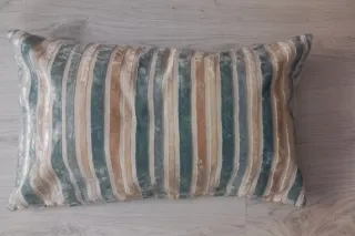 2 cojines de terciopelo, 4 euros las dos