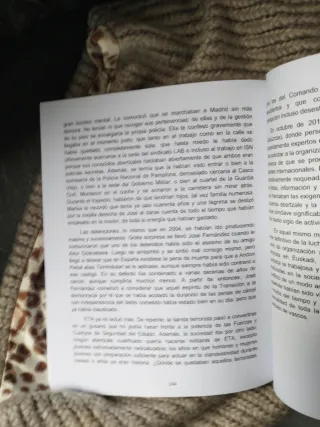 Tándem de policías pseudoabertzales