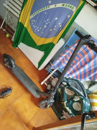 Patinete Eléctrico Xiaomi Pro 2