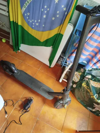 Patinete Eléctrico Xiaomi Pro 2