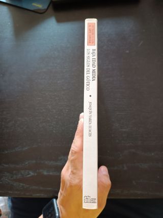 Baja Edad Media. Los siglos del gótico - Joaquín Y