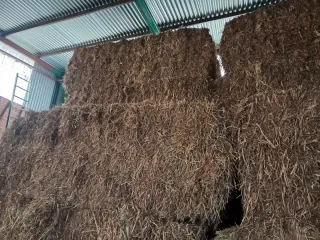 Paquetes de vezas