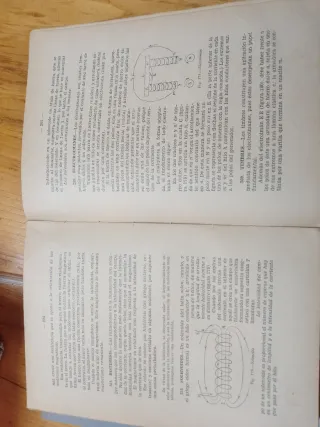 Física y química año 1939