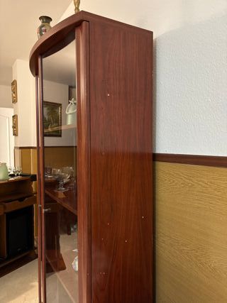 Vitrina de madera y cristal