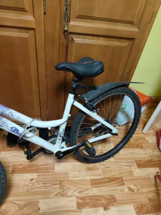 Bicicleta Morada y Blanca
