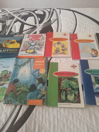 Lote de libros de lectura en inglés