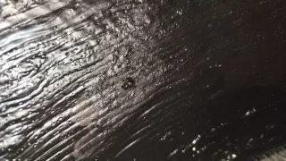 2 Neumáticos Conti Sport Contact 235/40/R18 95W