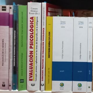 Amplio lote de libros y cuadernos universitarios u