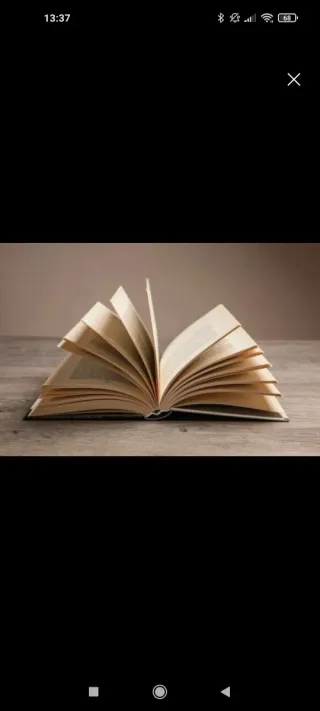 Profesora particular