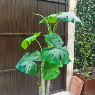 Monstera Artificial 170cm con Maceta