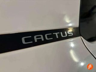 Citroën C4 Cactus BlueHDi 100 S&S C-Series