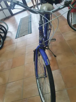 Raleigh Caprice Vintage - Totalmente Restaurada.