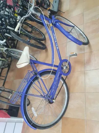 Raleigh Caprice Vintage - Totalmente Restaurada.