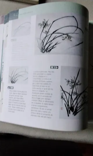 Libro curso de pintura oriental