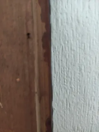 Marco antiguo tallado